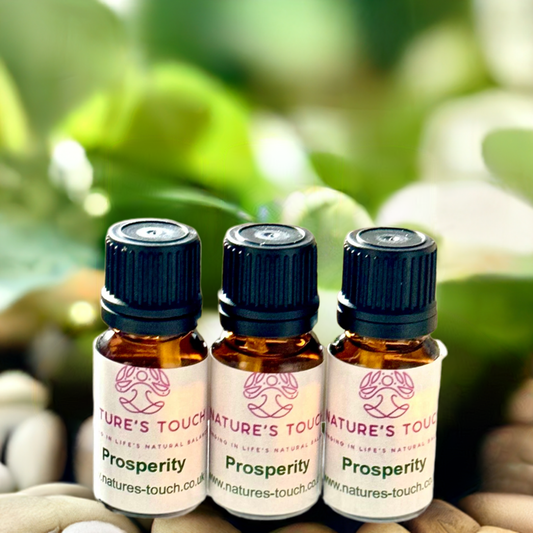 Diffuser Oil Prosperity 10ml